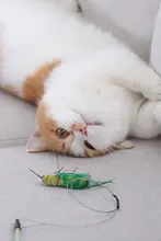 猫用おもちゃ・フェイク昆虫付きねこじゃらし【耐噛性・交換可能なワイヤーヘッド・子猫用】