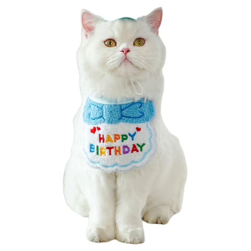 犬の誕生日プレゼントに何を買ったらいいの？実はこれ1つで満足できる