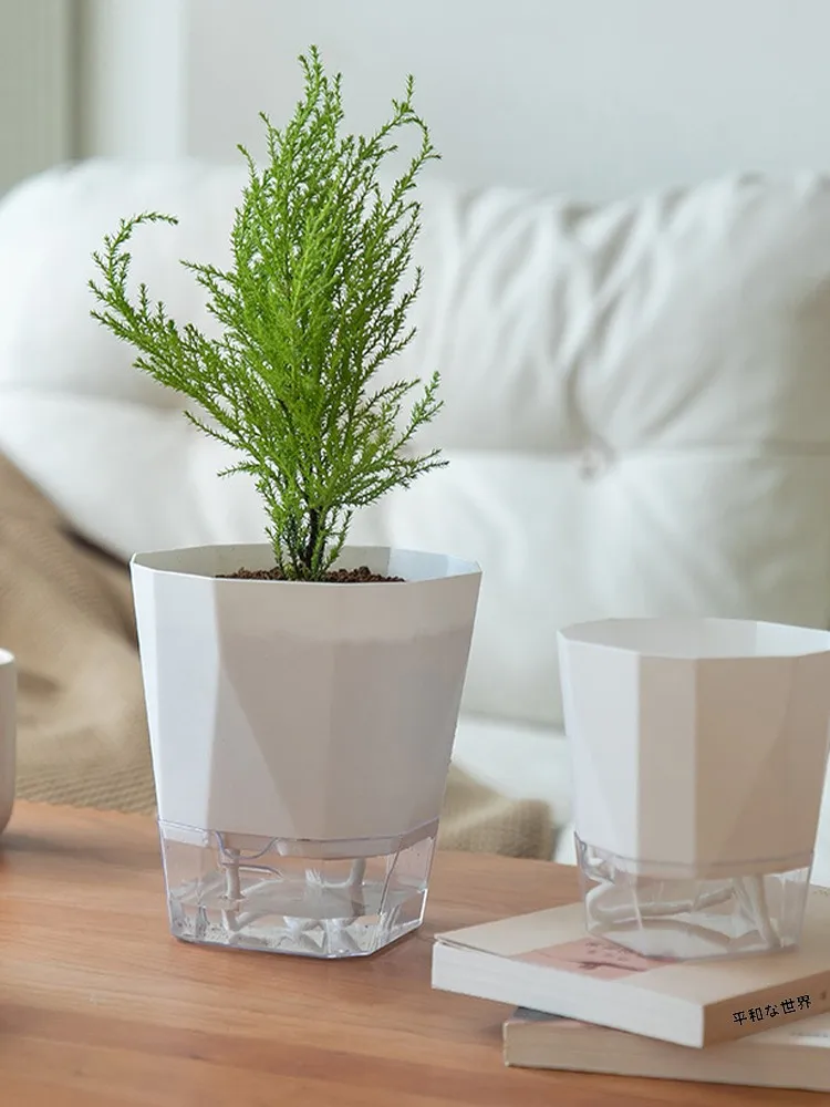 怠惰な自動吸水植木鉢でほったらかしで咲く花を育てる方法