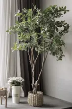 フェイツリー 大型植物 室内 家具 グリーン デコレーション
