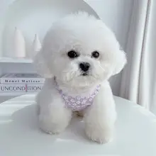 ペット服 犬 猫 キャミワンピース 花柄 コットン 通気性 パンプキンシルエット 小型犬 ビション トイプードル カジュアル インスタ映え 春夏