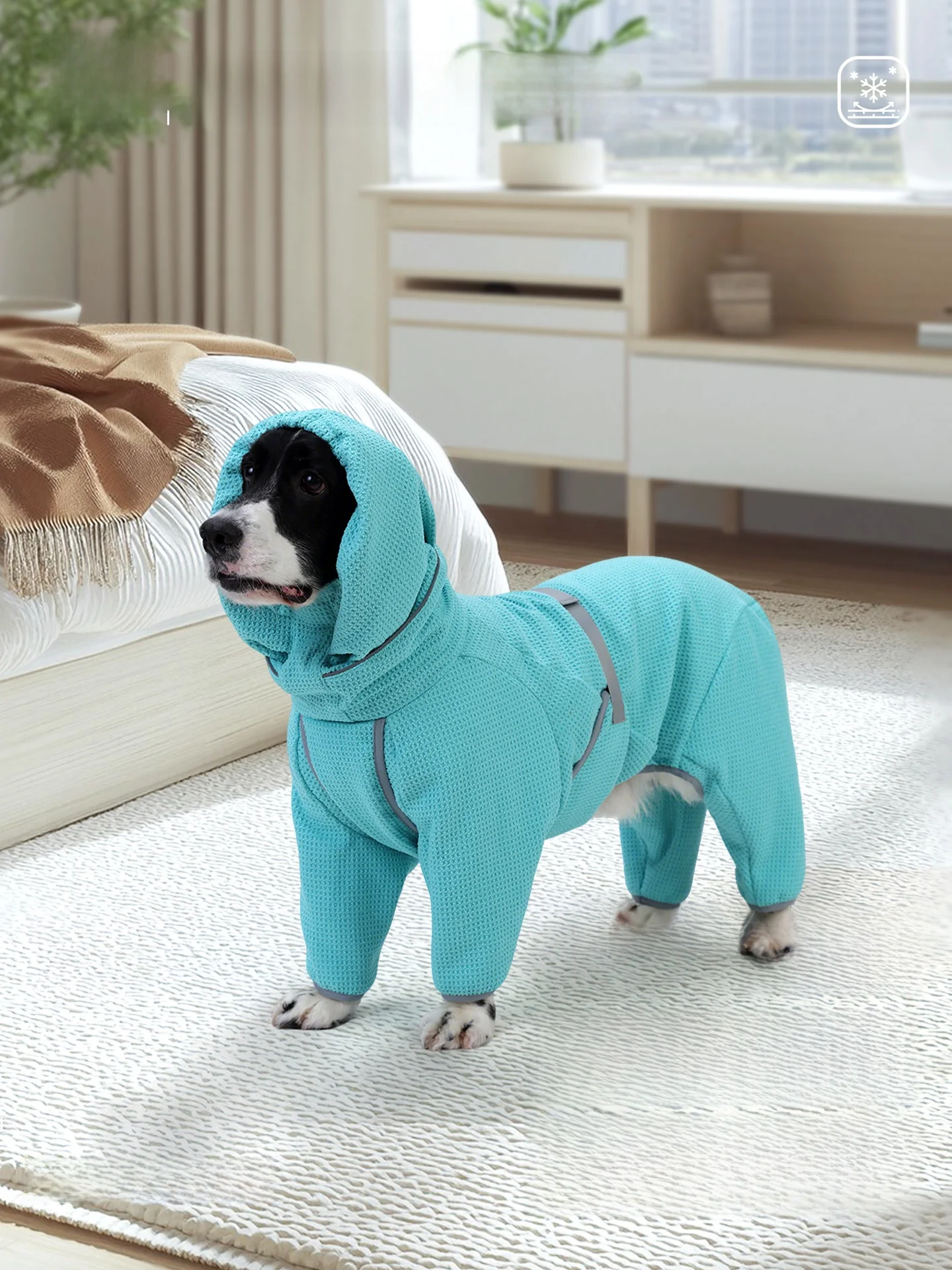 犬のお散歩グッズをコスパ良く揃える方法｜実測でわかる機能性と選び方の決定版