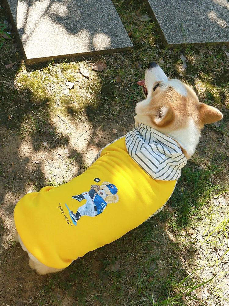 ペット用フード付きパーカー：マンション暮らしに最適な小型犬向け秋冬用フリース