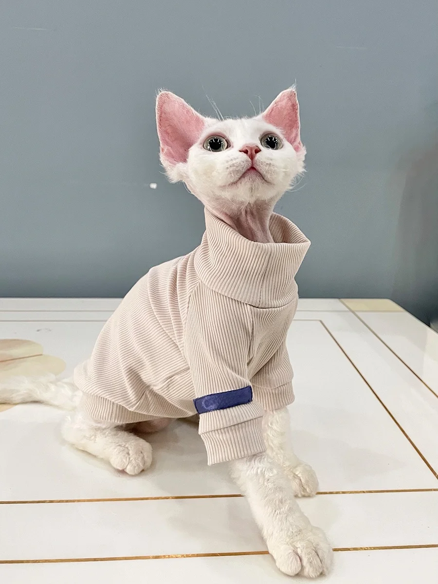 猫飼いが買ってよかったもの・悪かったもの正直に言う｜スフィンクス猫用コットンTシャツの徹底解説