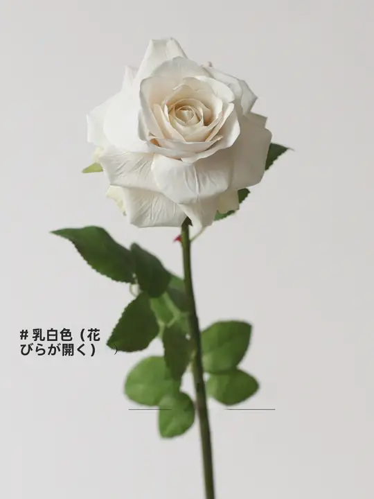 白色のローズ造花【直径小・一枝・インテリア装飾・フォトプロップス】