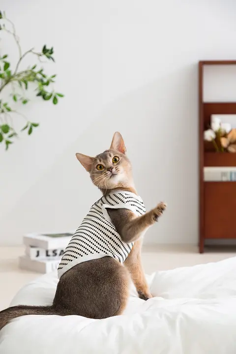 hipidog ドット柄猫用春夏服【薄手・快適・毛が抜けにくい】