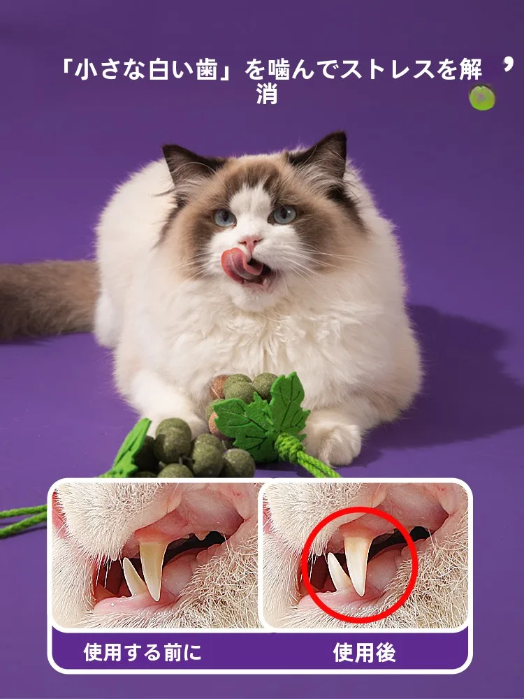猫用薄荷ボールおもちゃ：一人暮らし向けの遊び心と歯磨き効果を実証