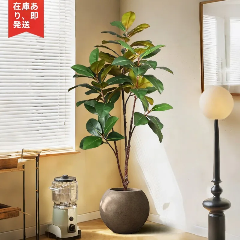 韓国インテリアを再現｜カフェ風部屋の作り方　完全ガイド