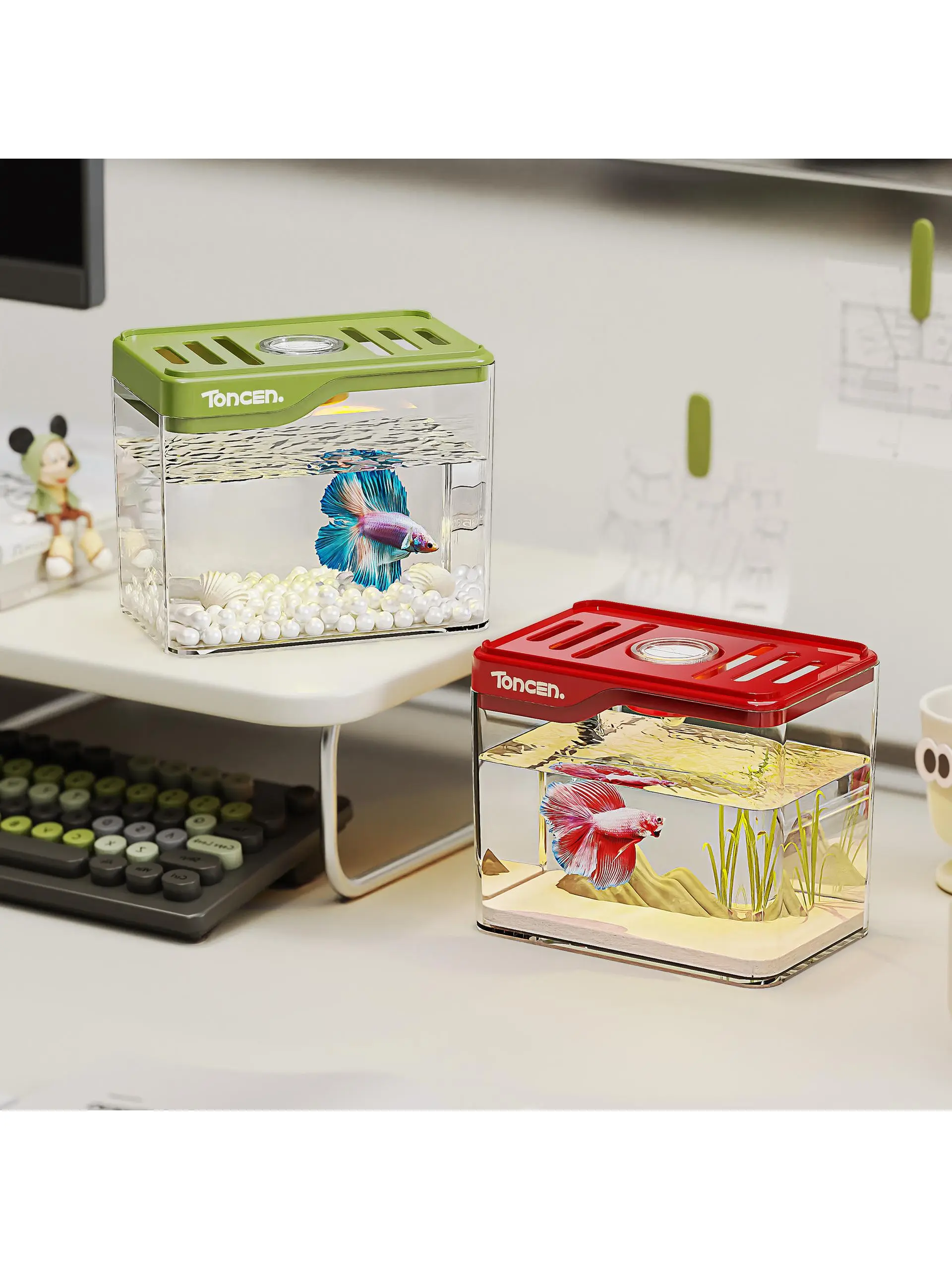 じょうろでキレイメダカ鉢を選ぶべき理由は？実は「透明プラスチック製の小型エコ水槽」が最適な理由