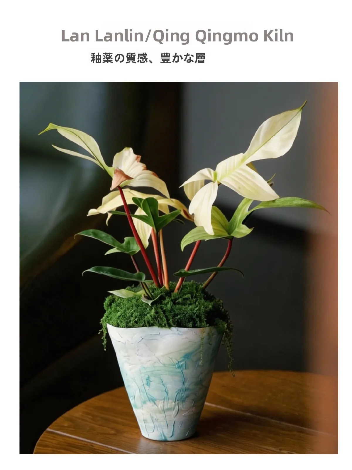 南天鉢植えを「おしゃれ」に仕上げるには、どうやって選ぶべきか？