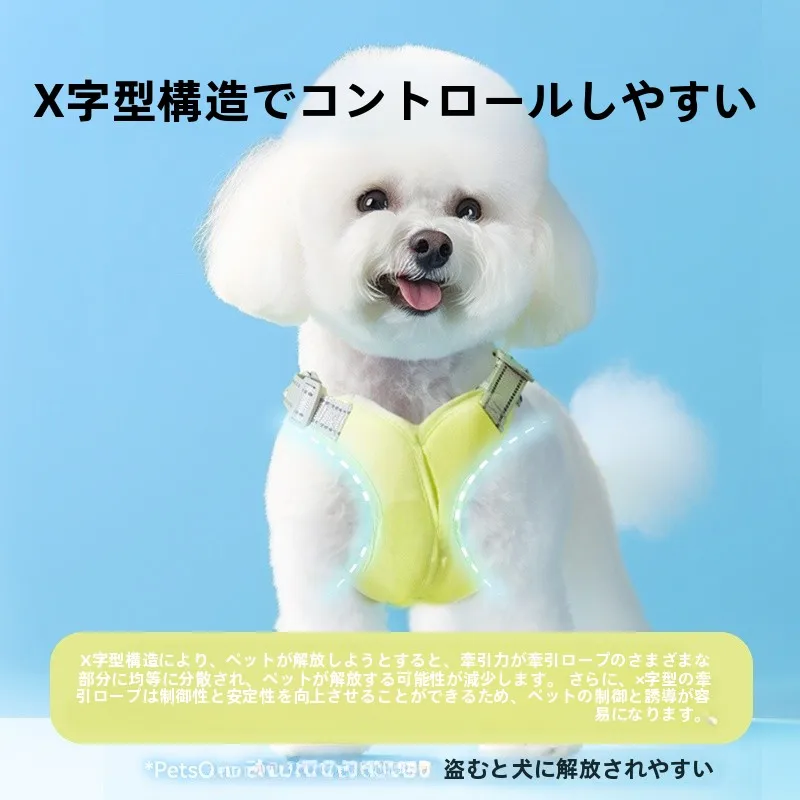 hipidog 犬用ハーネスリード：小型犬向け胸掛け式の通気性と適応性を徹底検証