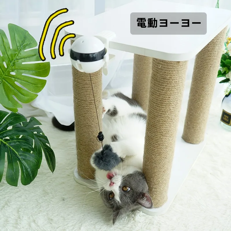 くすぐり機械を選ぶべきタイミングは？猫の反応を読むだけでわかる選び方