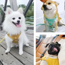 犬用 夏用通気性ハーネスリード【首に負担をかけないデザイン・中小型犬対応】
