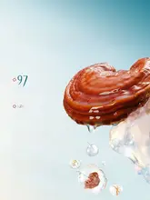 Florasisフローラシス 肌を明るく見せる気になる部分をカバーするエッセンス入りクッションファンデーション【潤い保湿・長持ち・乾燥肌・脂性肌対応】