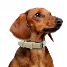 ペットリミット 犬用カラー【柴犬・フレンチブルドッグ向け・大型犬・中型犬・小型犬対応】