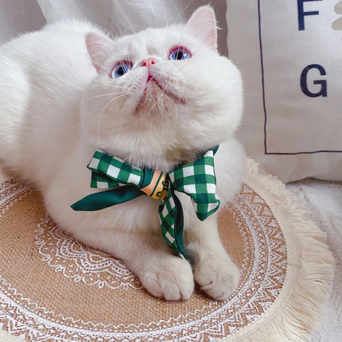かわいいネクタイのペットアクセサリー：猫と犬用のおしゃれ撮影アクセサリー