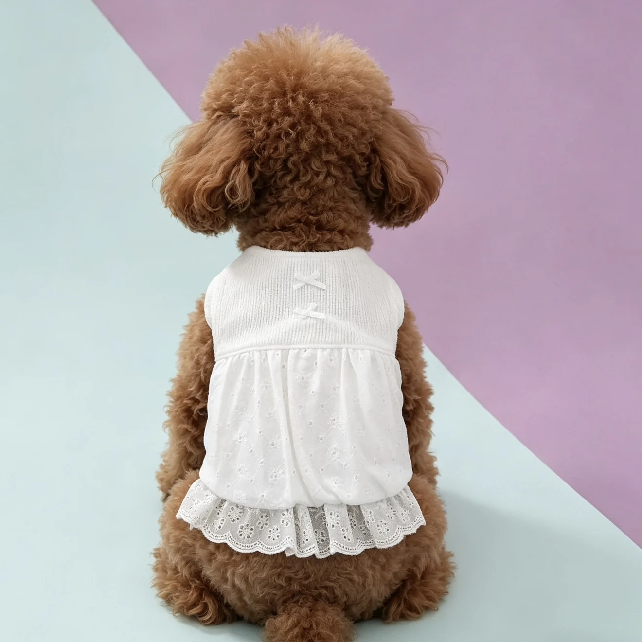 ワンちゃんの洋服としてのレース柄プリンセスドレス：冬用連衣裙の実用性と適用範囲