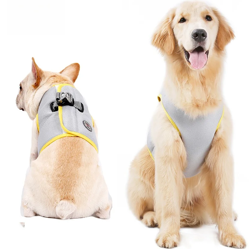 犬のお散歩グッズをコスパ良く揃える方法 - 通気性とサイズ対応の実態