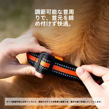 中大型犬用のペット用首輪【ゴールド＆柴犬・犬用アクセサリー】