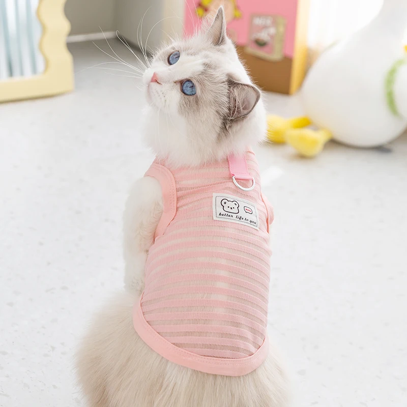 猫飼いが買ってよかったもの・悪かったもの正直に言う | ペットの子猫の服・夏用薄手スタイルの定義と特徴