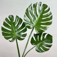 北欧風 インテリア用 偽のモンステラ葉ポット植物【テーブルデコレーション用】
