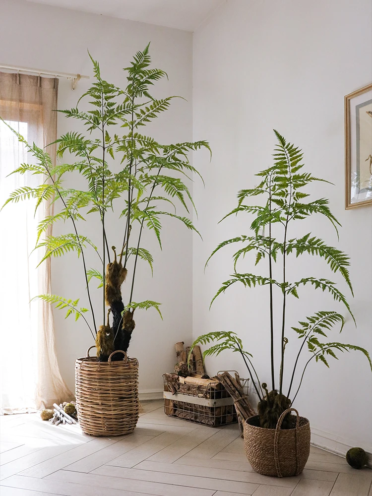 1×4 DIY アイデアで家を彩る？高級感ある観葉植物が解決するリアルな暮らしの悩みとは