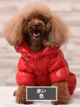 ペット用 秋冬 四足犬服【テディベアデザイン・防水・暖かい素材・小型犬用】