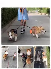 絡まり防止 二頭用ペットリード【ダブルリード・大型犬対応】
