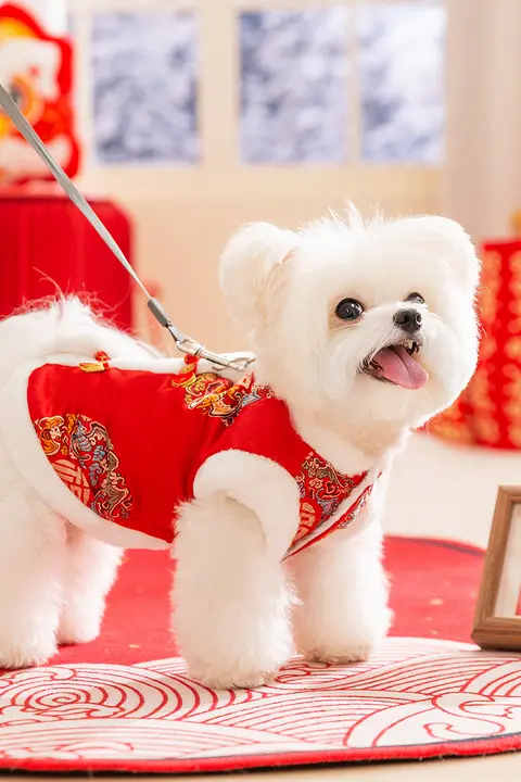 hipidog 小型犬用冬用コットンアウター【テディベア・シュナウザー対応・新年デザイン】