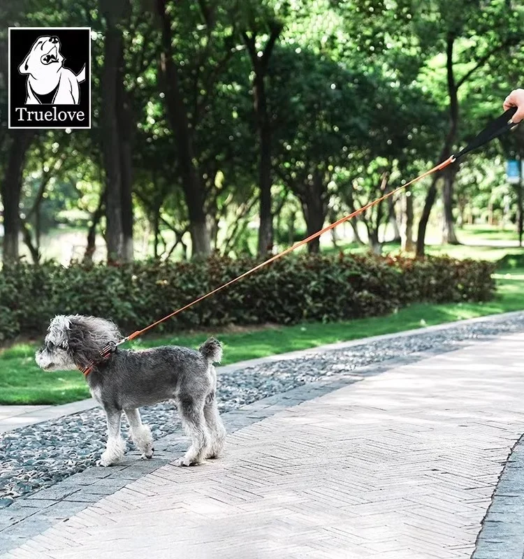 犬のお散歩グッズをコスパ良く揃える方法　徹底解説・実測でわかる選定ポイント