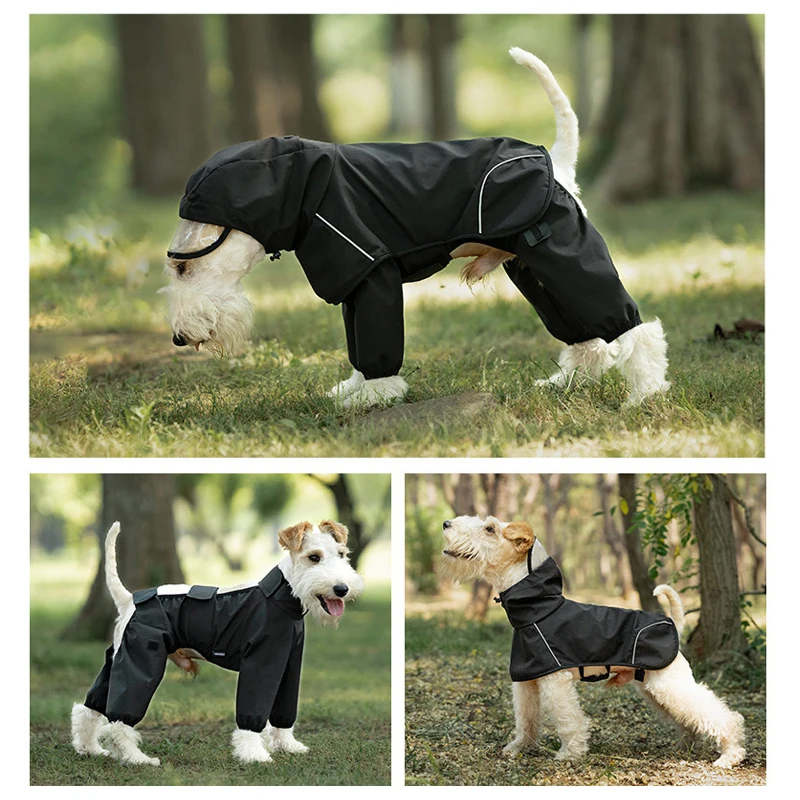 犬のお散歩グッズをコスパ良く揃える方法は？この1品で90%の雨の日を救う