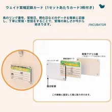 鳥用温暖繁殖箱【立方形・ペット用品・高級デザイン】