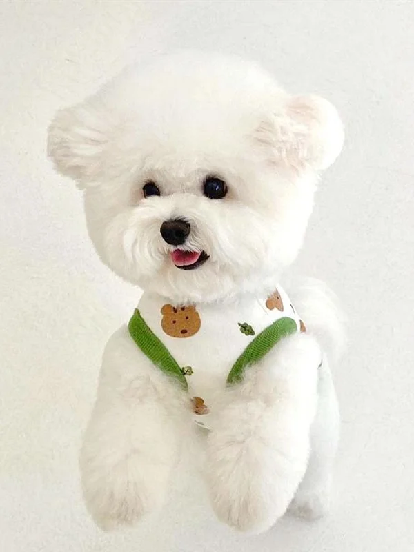 犬用キャミソール：春期の中小型犬に最適な軽量・通気性設計