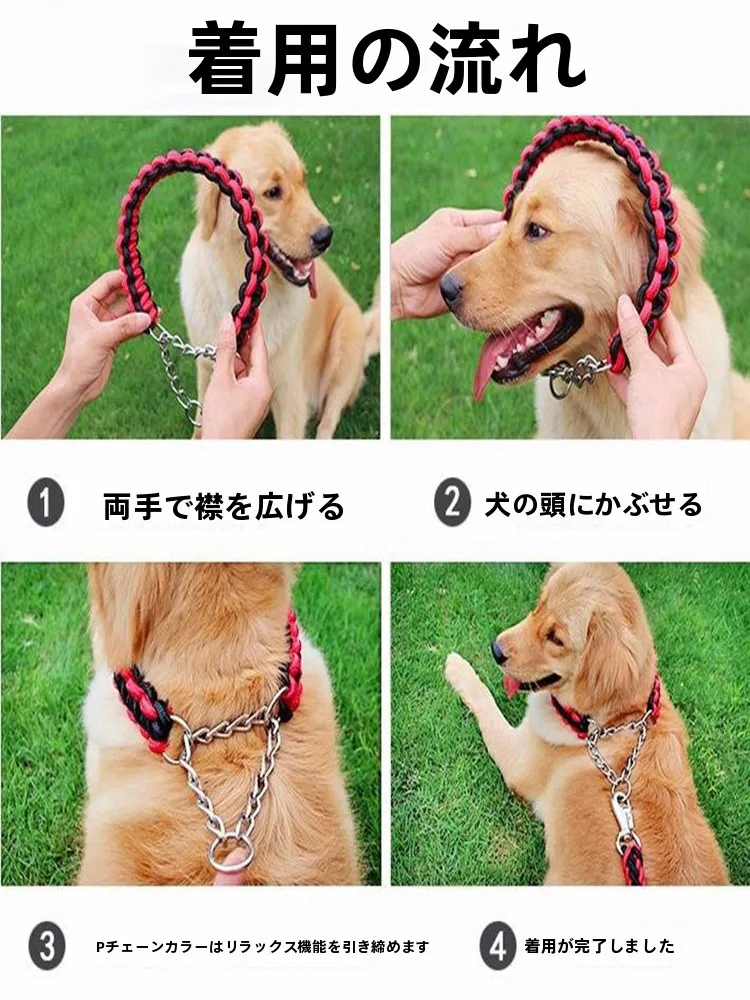 犬のお散歩グッズをコスパ良く揃える方法　成長に合わせて交換する3つのポイント