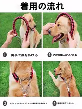 大型犬用伸縮式犬用首輪とリード【コーギー・迷子防止・安全設計】