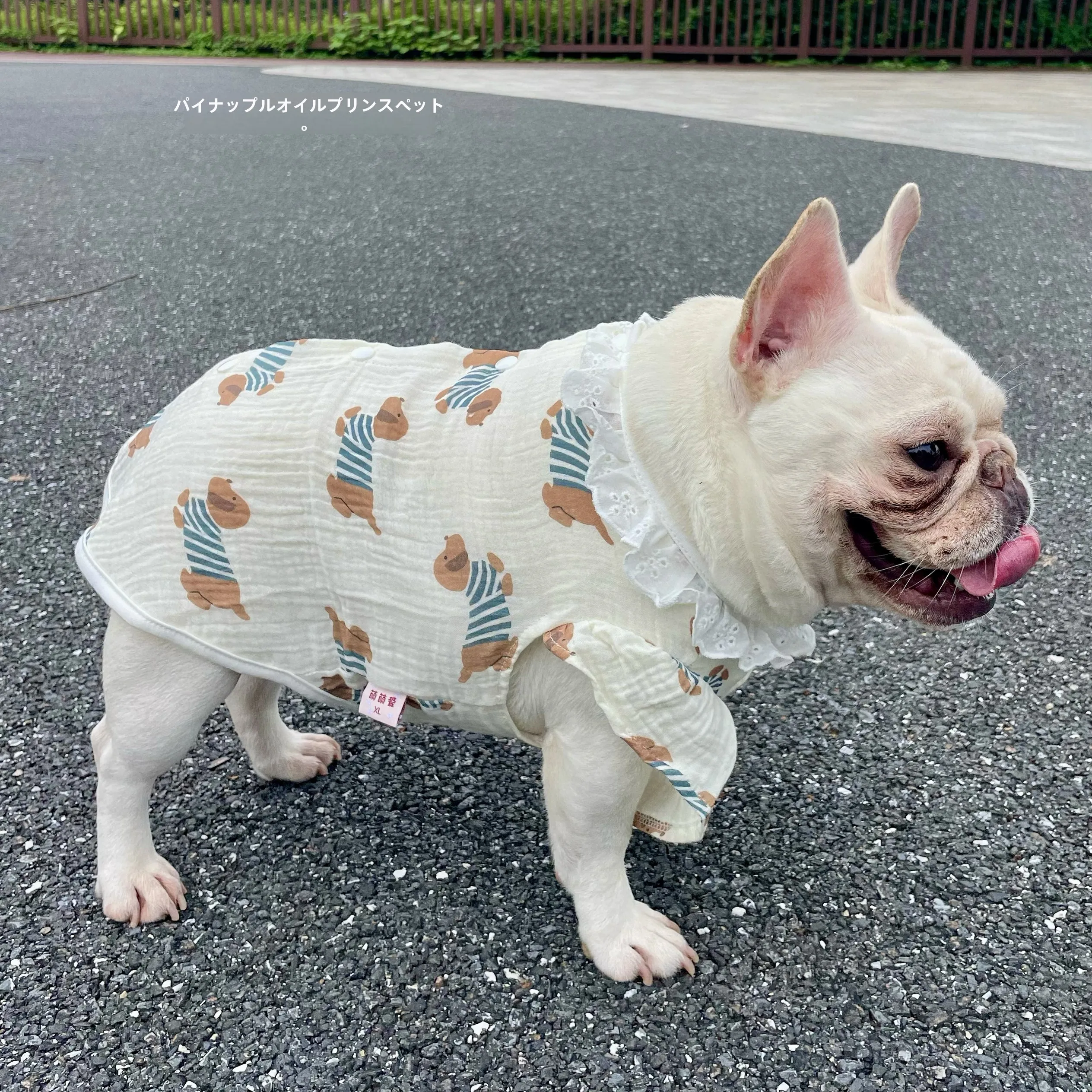 子供と暮らすとき、ペットの服はどんなものにしよう？