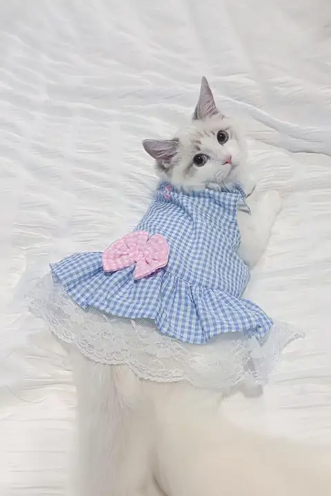 ペット用 可愛い猫用ドレス【春秋用・夏用・通気性・ブルー・キャミソールタイプ】