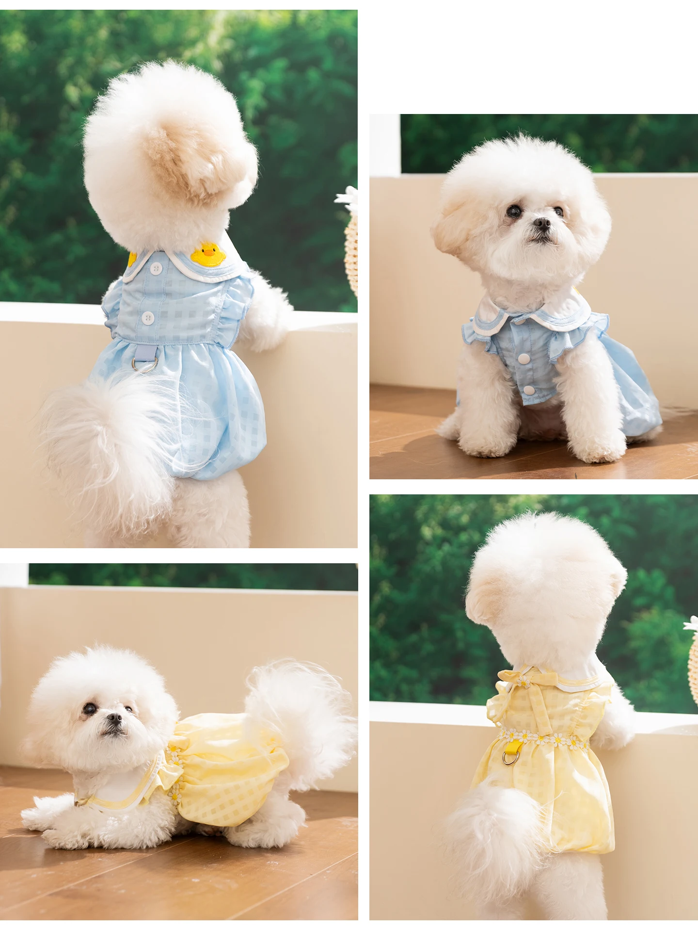 hipidog テディベア風デザインの犬用夏用ドレス：通気性と日常散歩に最適なフリル付きドレス