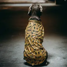 犬服夏用薄い通気性メッシュ抗脱落