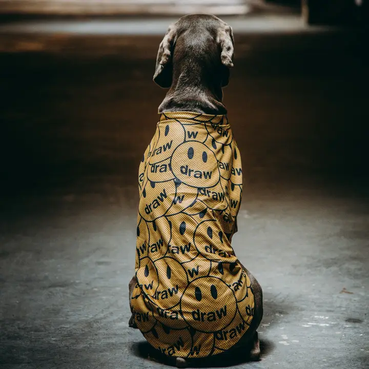 犬服夏用薄い通気性メッシュ抗脱落