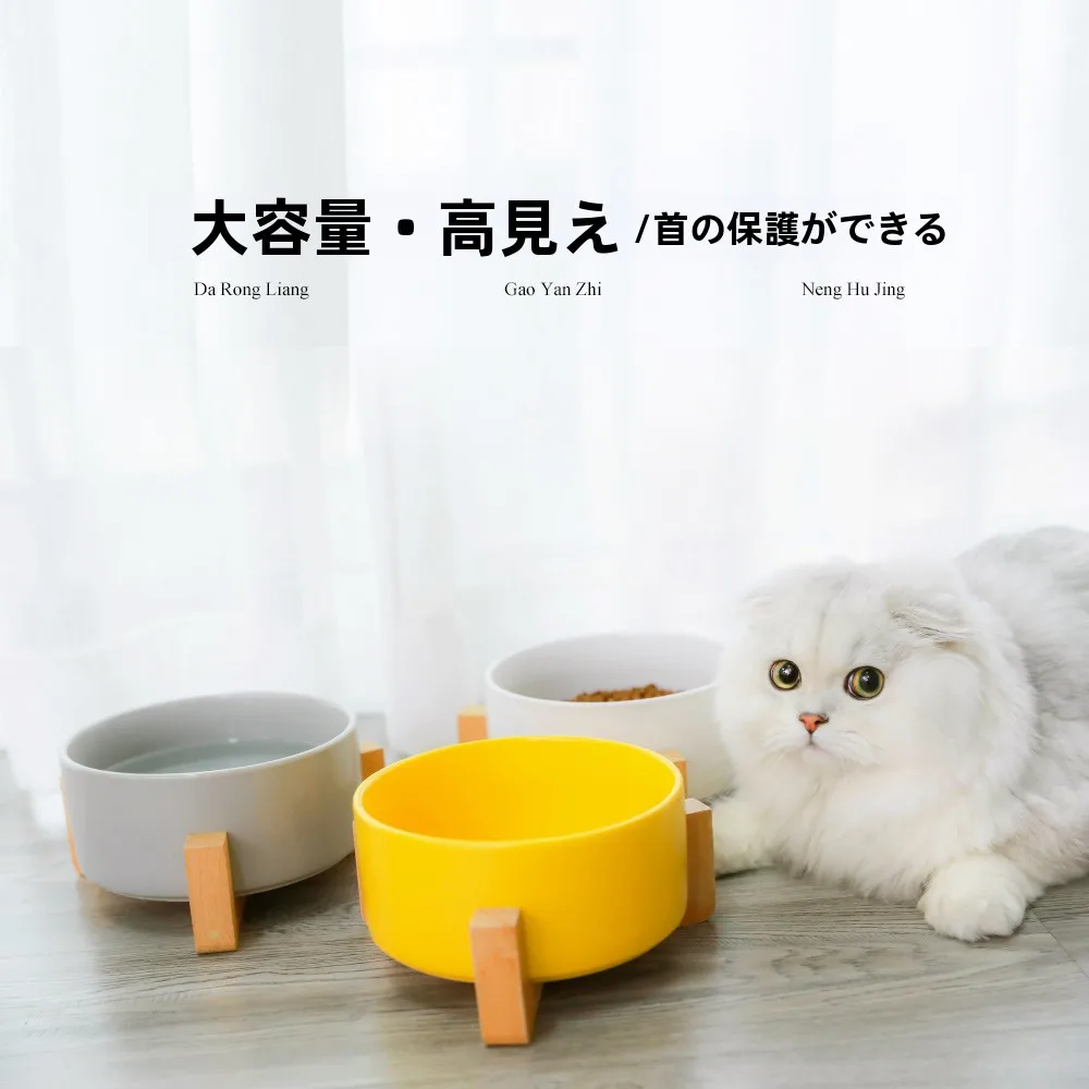 猫飼いが買ってよかったもの・悪かったもの正直に言う｜陶器食器セットの実際の使い心地徹底解説