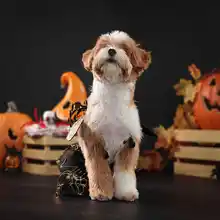 ペット用 ハロウィン コスチュームセット【犬猫用・スカート・クモの羽付き】