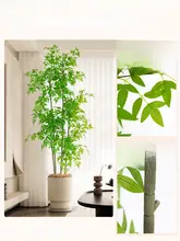 ナンテンチク テレビボード リビングルーム 鉢植え フェイクグリーン 高級 装飾品