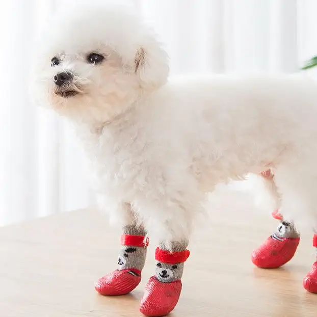 マンションでペットを飼うなら、足元の安全が一番？防水防滑シューズの選び方