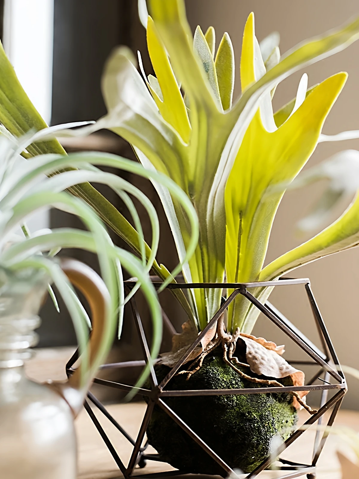 大型シダ植物の壁掛けディスプレイ：ウッドデッキ目隠しに最適な熱帯風造花の選び方