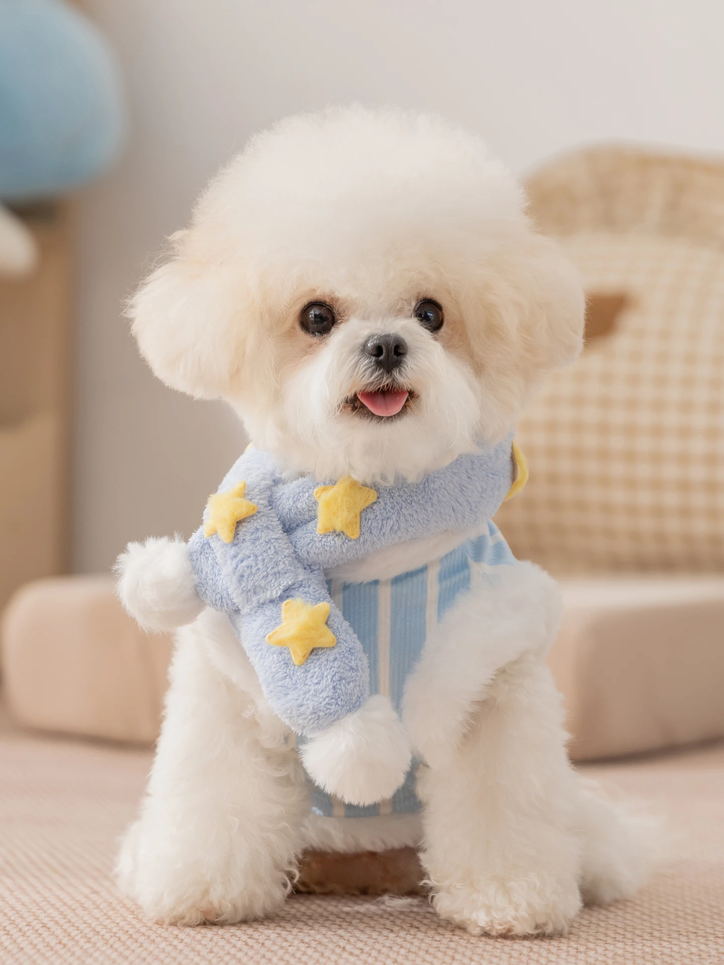 hipidog 小型犬用冬用ベスト：雪のようなデザインで冬の寒さをしっかり防ぐ