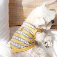 ベスト 子犬 春秋用 テディベア マルチーズ 薄手
