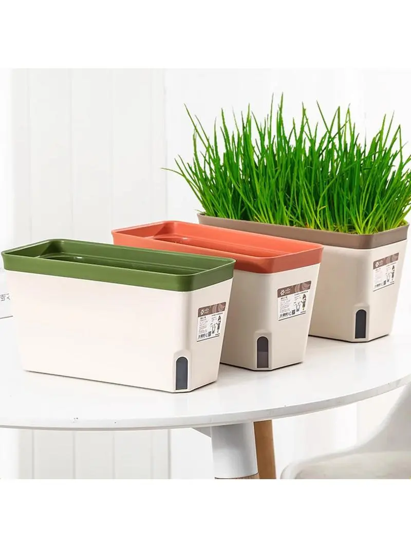 日陰でも育つ植物を育てるなら、このプランターが一番おすすめ？