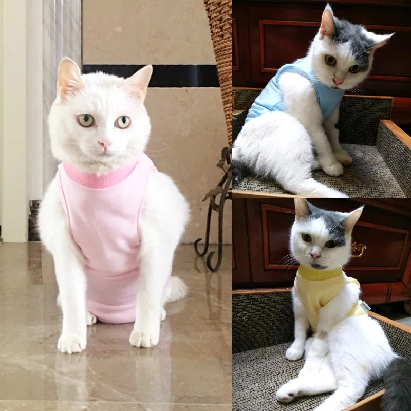 猫飼いが買ってよかったもの・悪かったもの正直に言う：猫用術後服【防咬・防添・四脚タイプ】の機能と使用方法