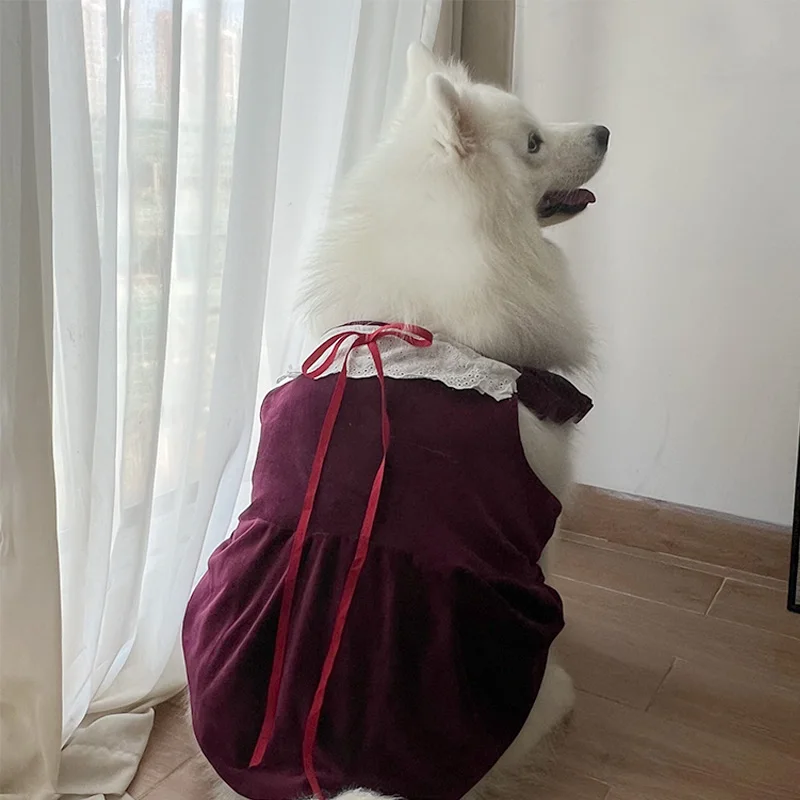 クリスマス用犬用ドレス：大中小型犬に最適なデザインと機能性を徹底解説